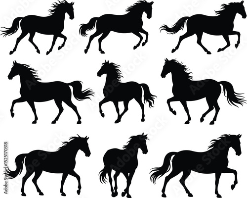 Dynamic silhouette collection of galloping and trotting horses, black equine vector set, isolated horse poses, motion study, design elements