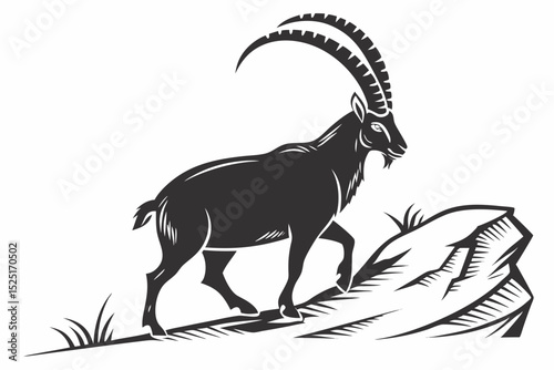 ibex sihouette black vector