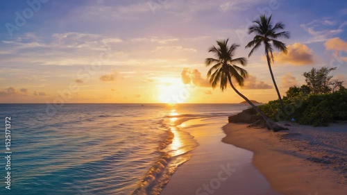 Peaceful tropical setting with a palm tree and sandy shoreline.