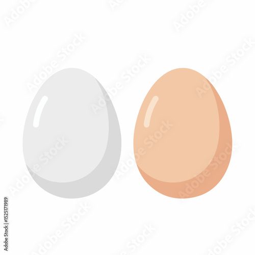 White and brown chicken eggs isolated on white background. Two eggs, one white and one light brown, are shown side by side.