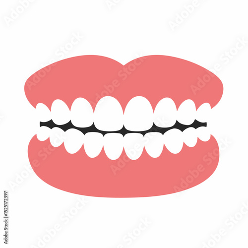 Healthy human teeth with gums. Illustration of perfect white teeth and pink gums.  Image shows healthy teeth suitable for dental brochures or car accessories ads.