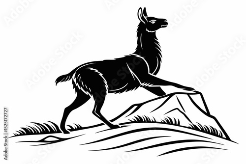 vicuna sihouette black vector