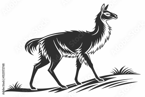 vicuna sihouette black vector