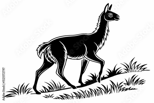 vicuna sihouette black vector