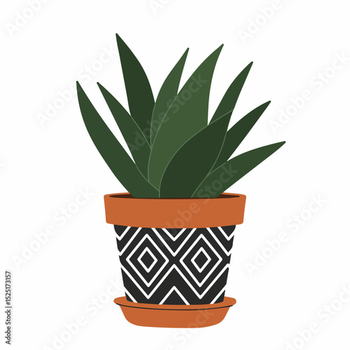 Stylish succulent plant in terracotta pot with geometric pattern. Home decor succulent in decorative pot perfect for modern interiors.