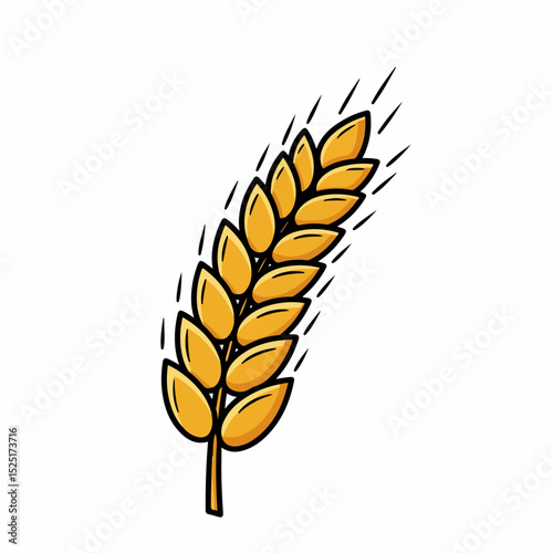 Golden wheat ear illustration.  Detailed drawing of ripe wheat grains.  Ear of wheat graphic for harvest festival or bread packaging design.