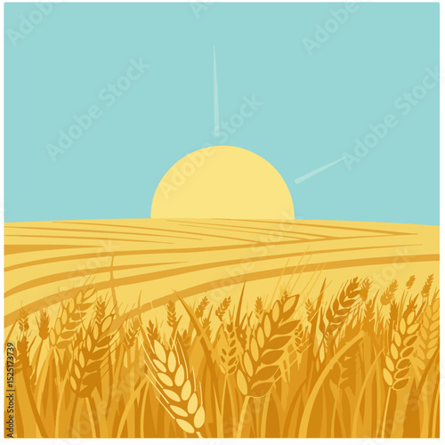 Golden wheat field at sunset. Ripe ears of grain sway gently in breeze.  Harvest season landscape perfect for agricultural publications, brochures, and websites related to farming and gardening.