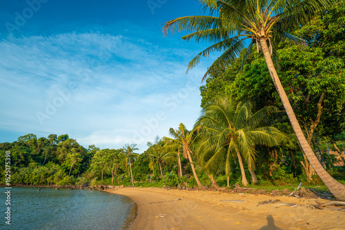 Fototapeta Naklejka Na Ścianę i Meble -  Sea sand beach coconut palm tropical forest blue sky cloud