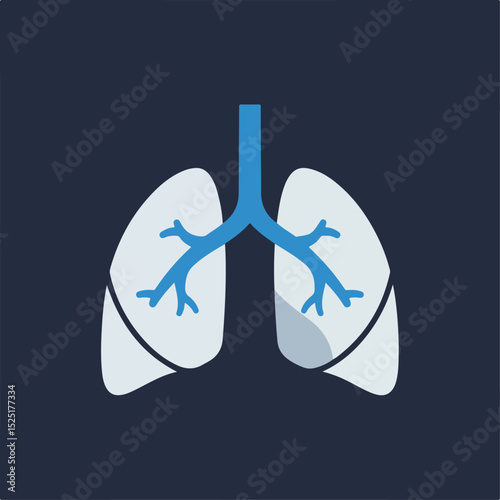 Human lungs anatomy illustration. Detailed image shows respiratory system. Lungs with bronchi and trachea. Medical illustration perfect for educational materials or laboratory presentations.