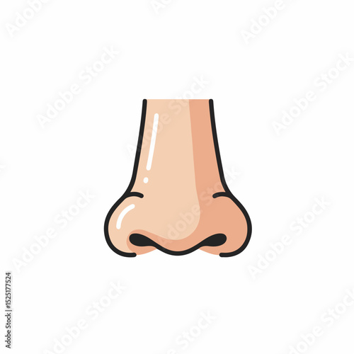Human nose illustration. Detailed anatomical drawing of human nose structure.  Simple nose icon for medical infographic or educational materials. This image is perfect for use in a laboratory setting.