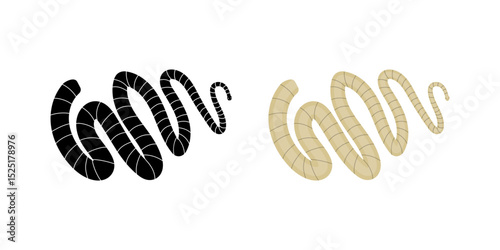 Tapeworm, segmented flatworm, intestinal parasite causing infection