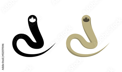 Hookworm, Necator americanus and Ancylostoma duodenale, causing hookworm infection