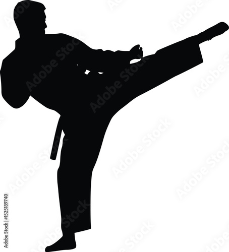 Martial Artist Silhouette in Kicking Stance - Powerful Combat Pose