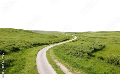 Road through grassfield golden light