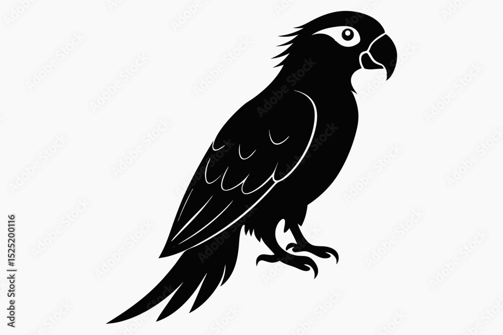 Obraz premium parrot sihouette black vector