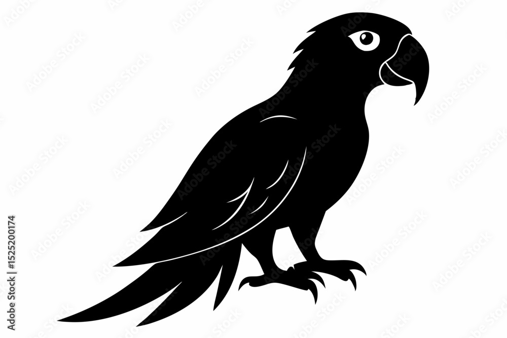Fototapeta premium parrot sihouette black vector