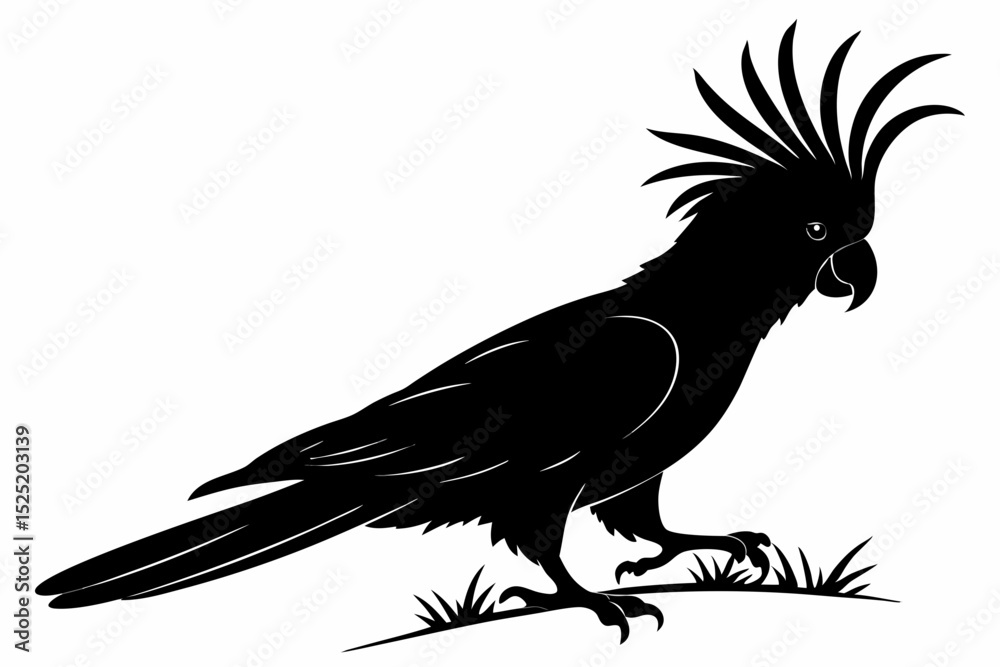 Fototapeta premium cockatoo sihouette black vector