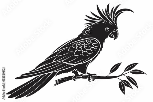 cockatoo sihouette black vector