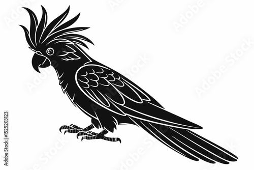 cockatoo sihouette black vector