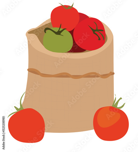 Vektor tomatoes in sacks. a Sack with Tomatos. Veggies in a Big Brown Bag