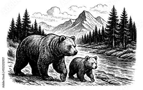 Engraved Illustration of a Bear and Cub near a Mountain Stream in Black and White