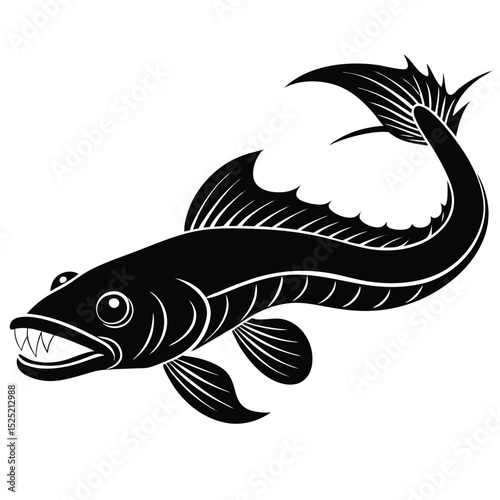 dragonfish vector