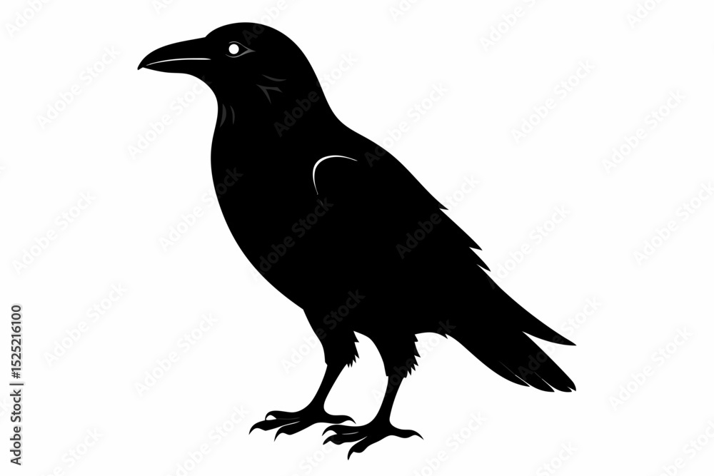Obraz premium crow sihouette black vector