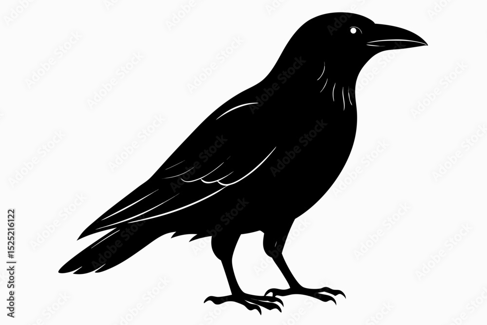 Fototapeta premium crow sihouette black vector