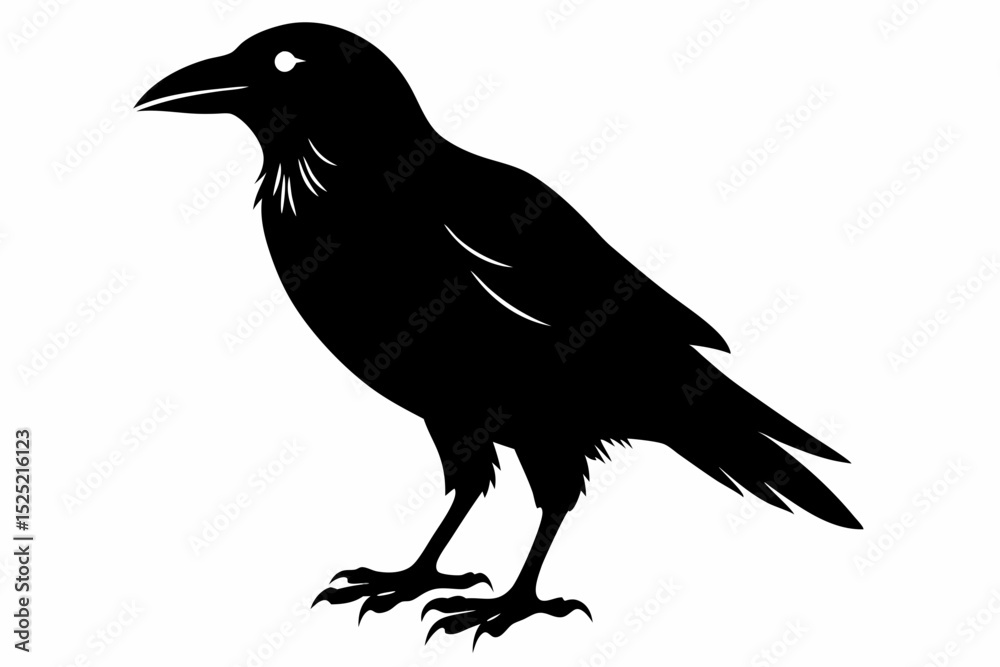Obraz premium crow sihouette black vector