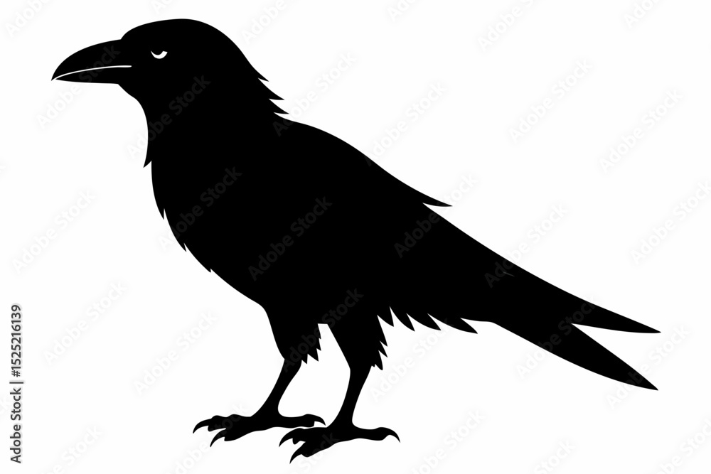 Obraz premium crow sihouette black vector