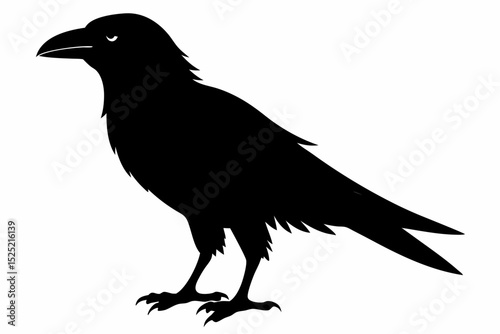 crow sihouette black vector