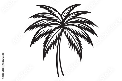 Palm tree hand drawn black vector illustration icon on white background