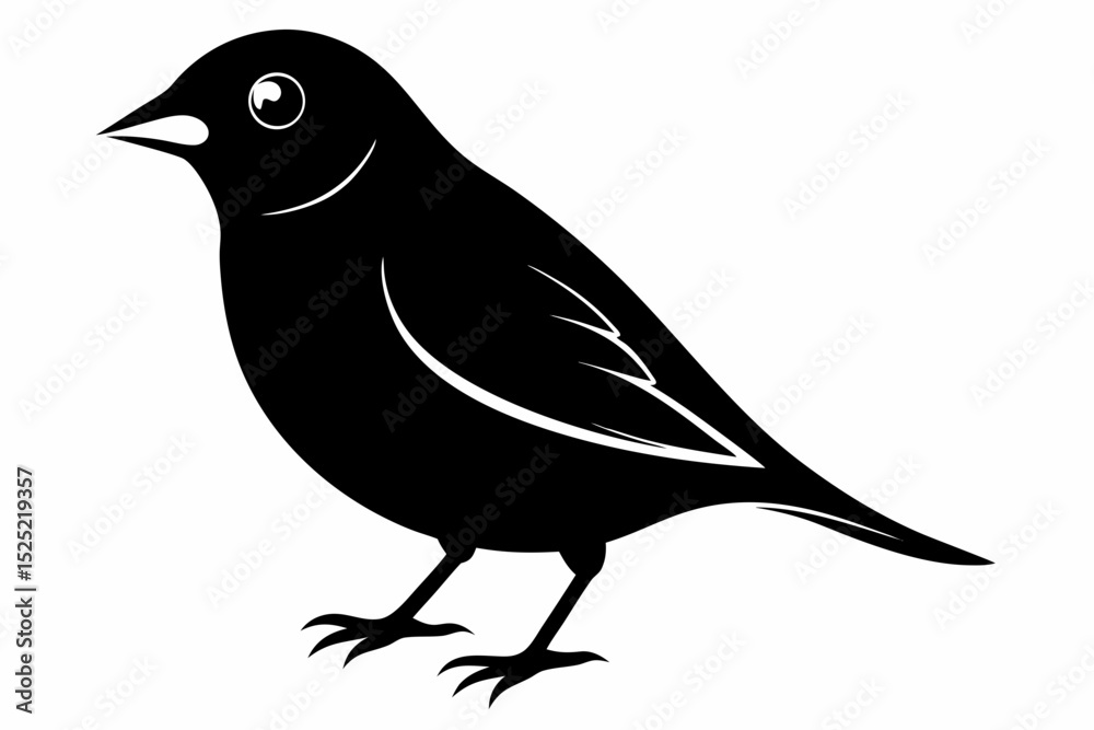 Obraz premium finch sihouette black vector