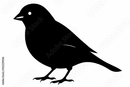 Tableau sur toile finch sihouette black vector