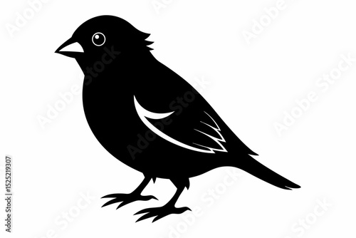 finch sihouette black vector