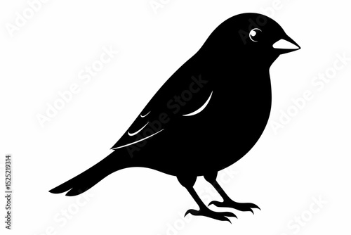 Fotografía finch sihouette black vector