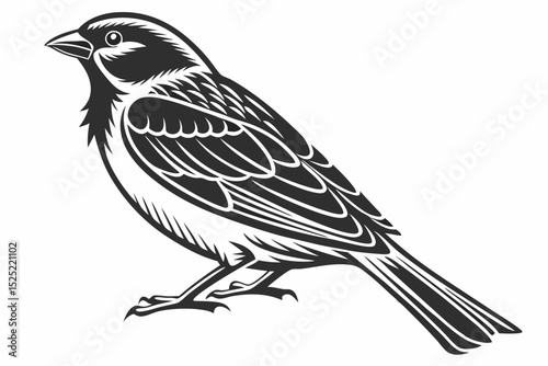sparrow sihouette black vector