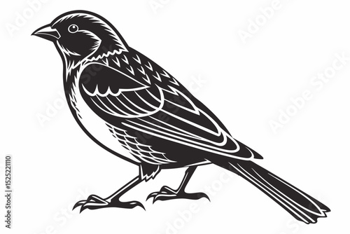 sparrow sihouette black vector
