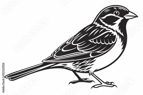 sparrow sihouette black vector