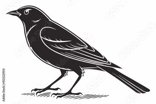 sparrow sihouette black vector