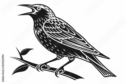 starling silhoette black vector