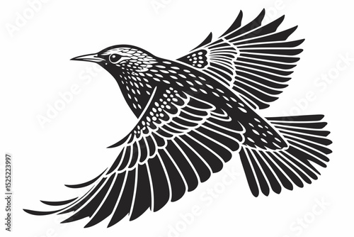 starling silhoette black vector