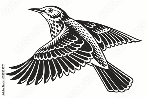 thrush sihouette black vector