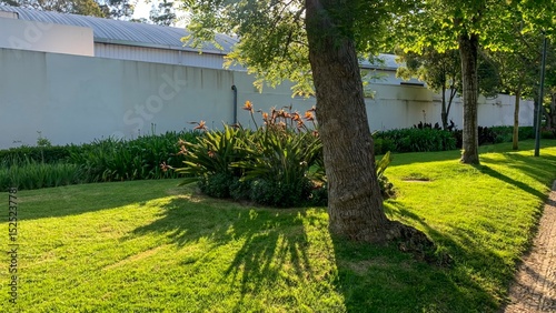 Sunlit garden shadows dance, whispering secrets of Arbor Day renewal and afternoon siestas under whispering eucalyptus canopies