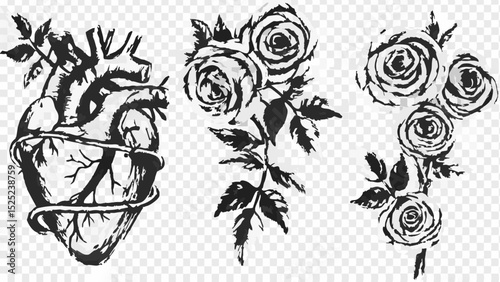 Illustration of anatomical heart with vine and rose flower arrangements in black and white style