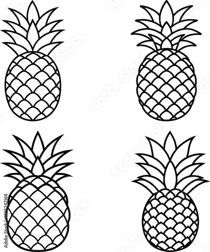 vector illustration of pineapple