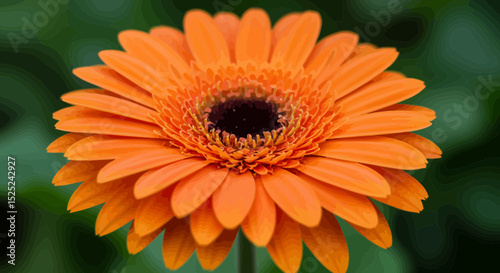 Vibrant orange gerbera daisy radiating warmth and beauty in a close up shot