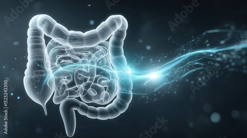 Intricate 3D Model of Human Digestive System