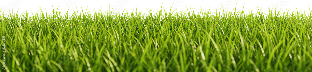 Fototapeta premium patch of grass with transparent background frame border