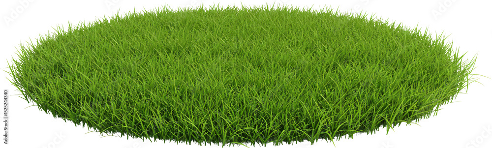 Obraz premium round patch of grass with transparent background